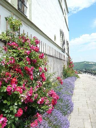 terrasse-vor-dem-renaissancesc (445x700, 57Kb)