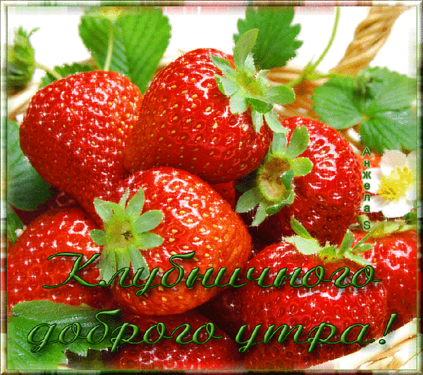 4743317_i32438 (600x533, 751Kb)