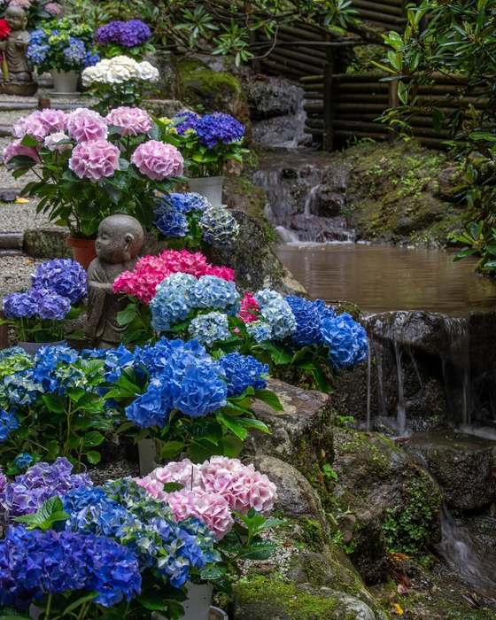 0-350638864_112162158548536_4681155575778816130_n (560x700, 81Kb)