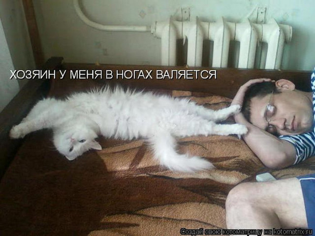 4743317_i25093 (640x480, 75Kb)