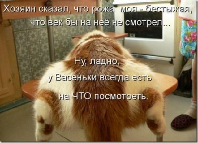4743317_i25092 (640x462, 55Kb)