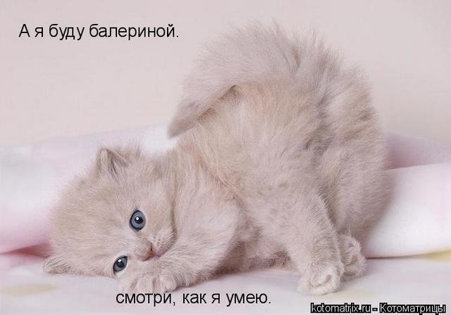 4743317_P (640x448, 28Kb)