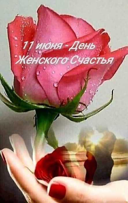 IMG-20250611-WA0036[1] (443x700, 29Kb)
