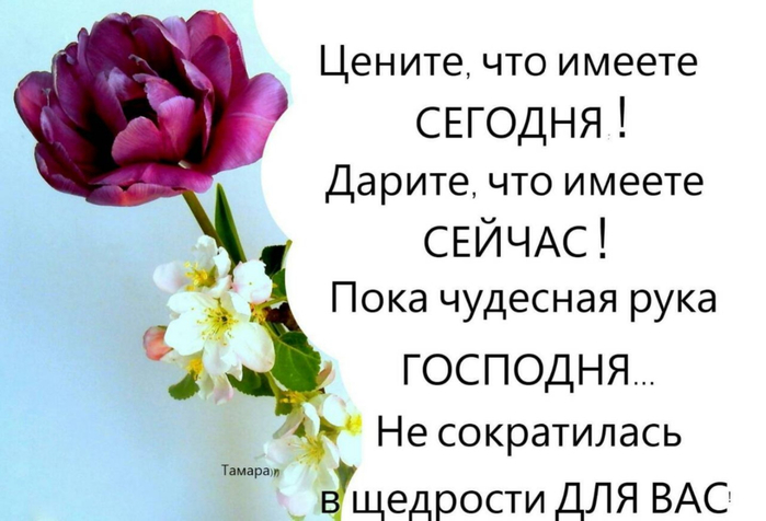 цендня (700x476, 204Kb)