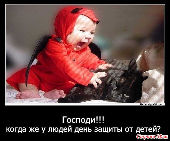 3416556_27885410_16325nothumb650 (550x458, 64Kb)