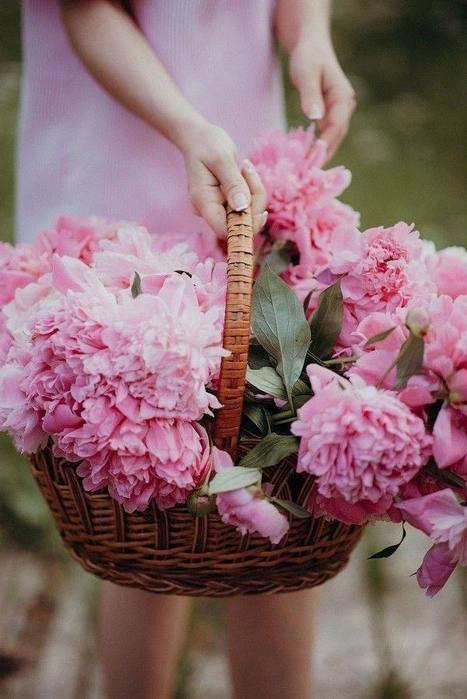 IMG_20250612_172929_245 (467x700, 46Kb)
