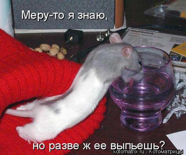 4743317_wO (640x536, 60Kb)