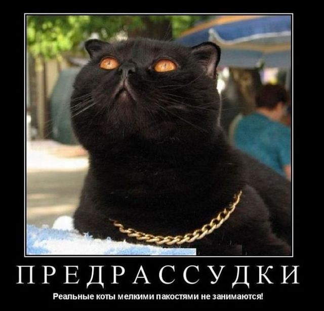 4743317_demotivatiry_22 (640x614, 55Kb)