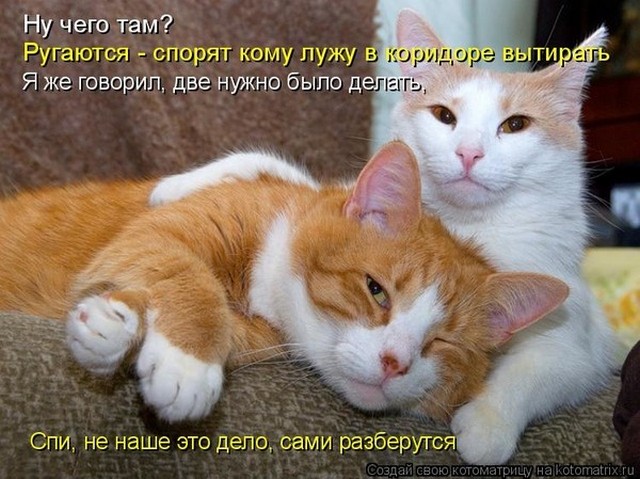 4743317_i17543 (640x479, 93Kb)
