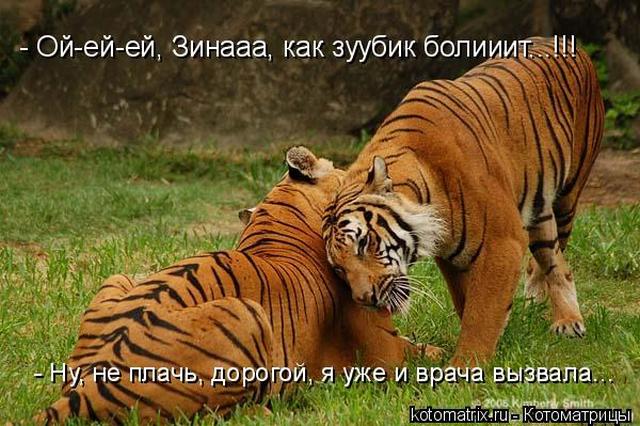 4743317_nh (640x426, 65Kb)