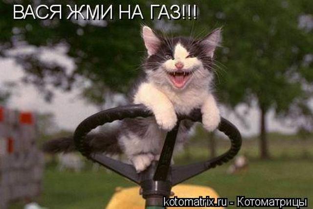 4743317_Mx (640x427, 36Kb)