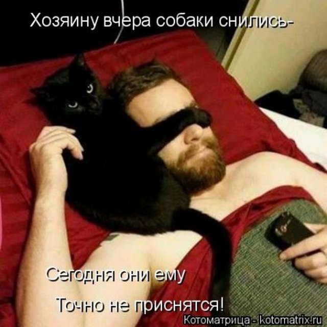 4743317_i25160 (640x640, 64Kb)