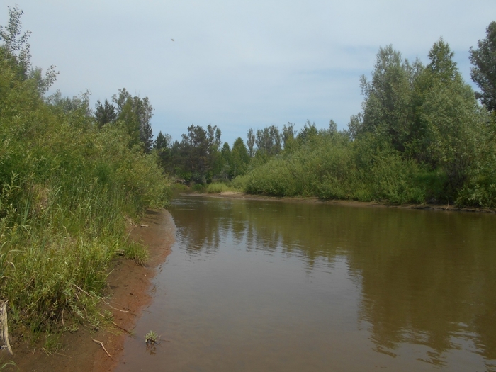 4533467_DSCN77231 (700x525, 242Kb)