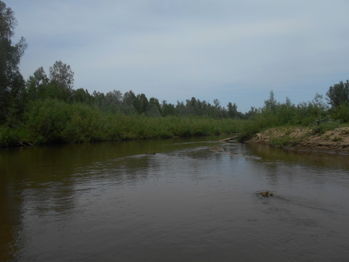 4533467_DSCN77281 (700x525, 192Kb)