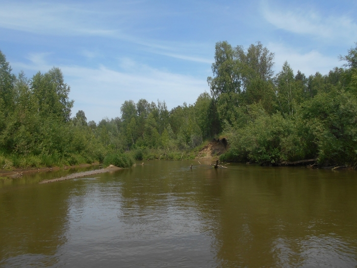 4533467_DSCN77321 (700x525, 244Kb)