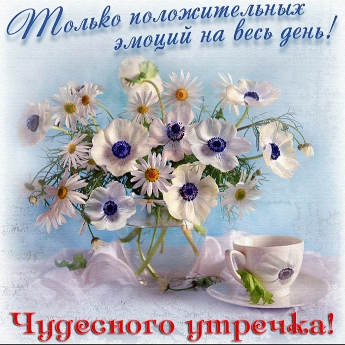 плжу (700x700, 549Kb)