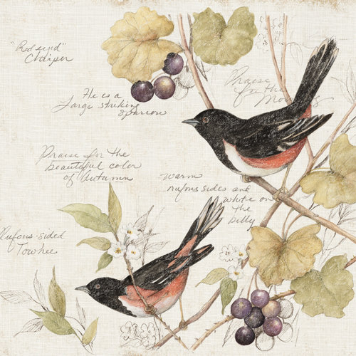 FG19-1vJI16TB-3+towhee+birds+linen (500x500, 306Kb)