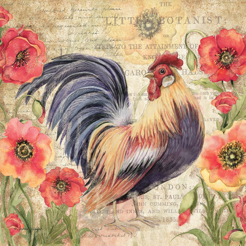PR18-8b+PoppyRooster-COVER+copy (500x500, 260Kb)