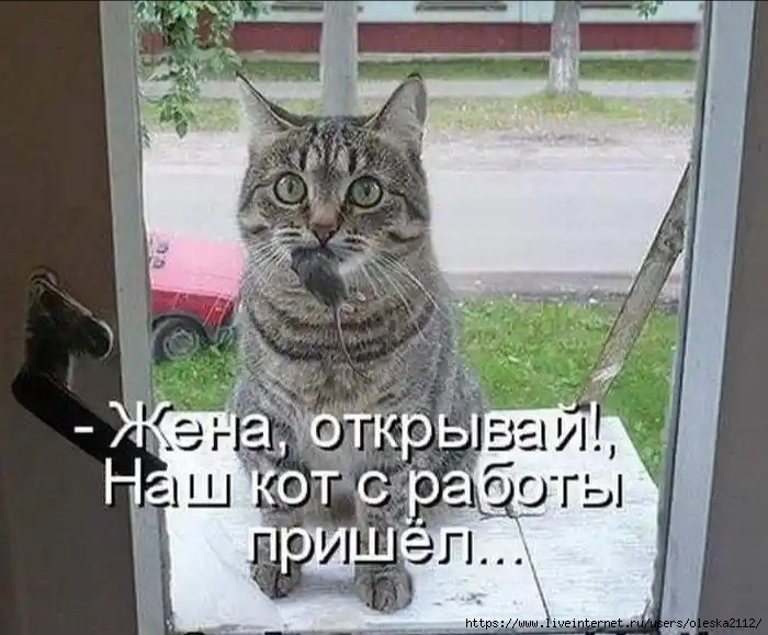 2862529556 (700x579, 209Kb)