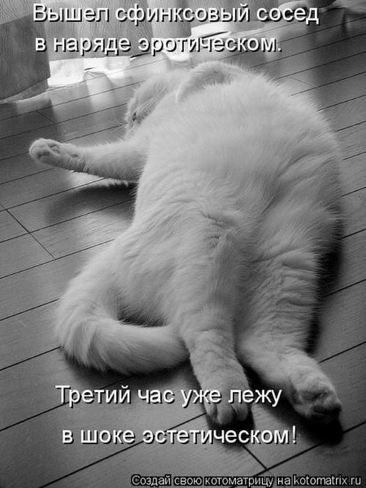 4743317_i5829 (525x700, 84Kb)