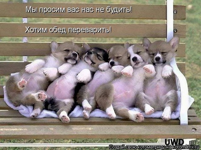 4743317_i5110 (640x480, 90Kb)