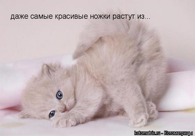 4743317_0X (640x448, 28Kb)