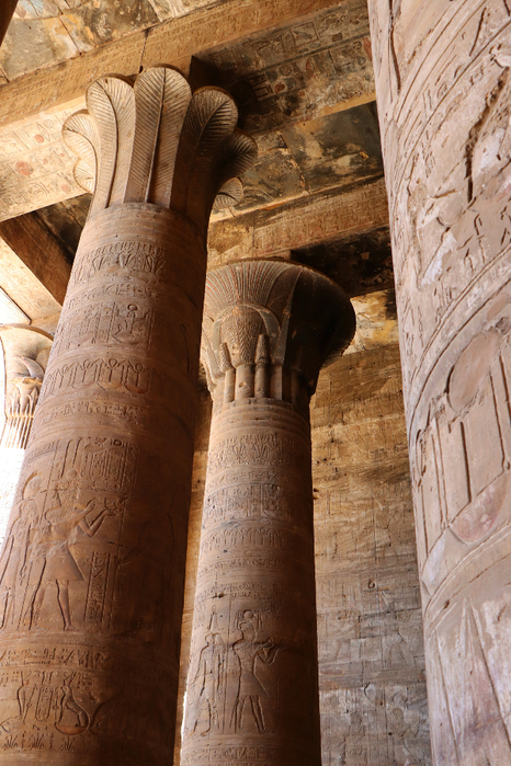 IMG_2774 (466x700, 481Kb)