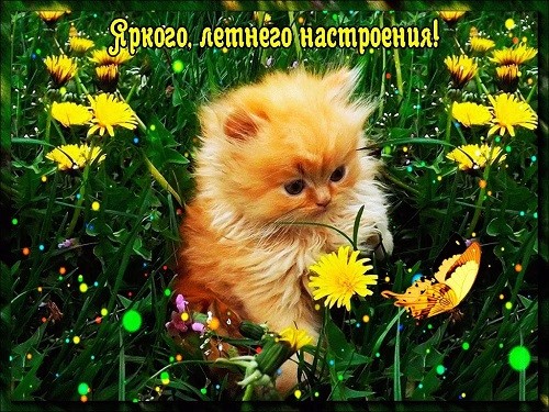 7 (500x375, 102Kb)