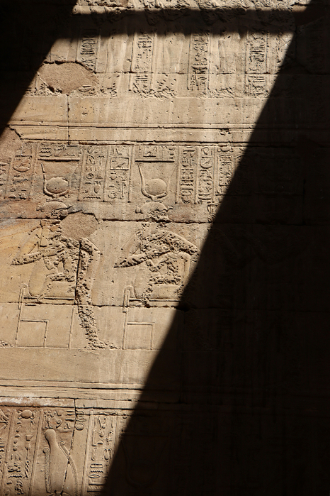 IMG_2931 (466x700, 451Kb)