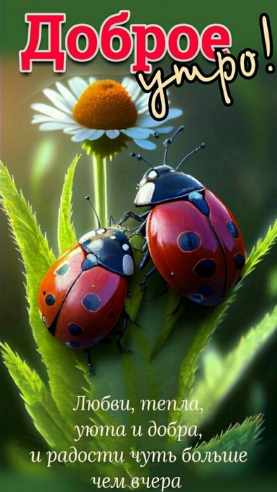 2835299_ad67d5b7d57e460aa12e6960aad1552d (394x700, 204Kb)