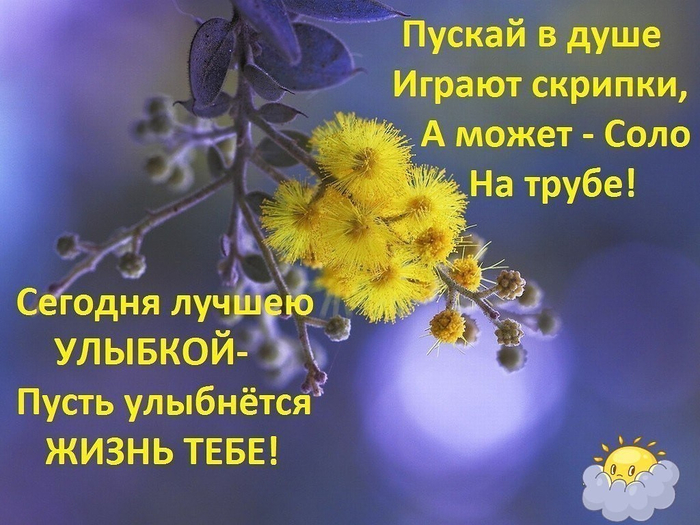 хорднявам2 (700x525, 397Kb)