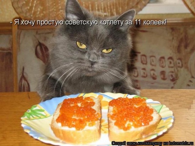 4743317_i25190 (640x479, 73Kb)