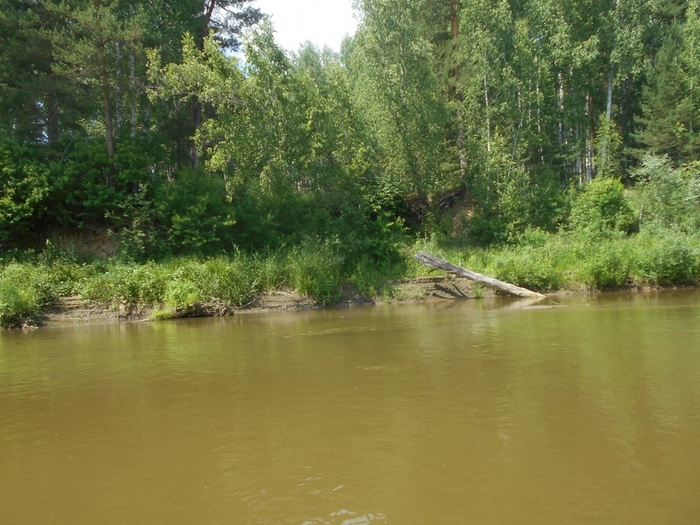 4533467_DSCN77471 (700x525, 299Kb)