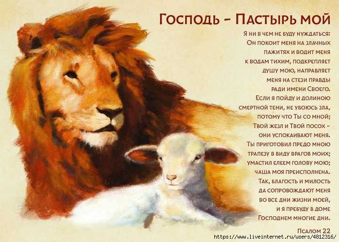 IMG-20250620-WA0005 (700x499, 179Kb)