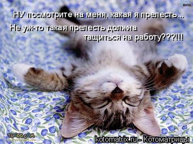 4743317_D2 (640x480, 62Kb)