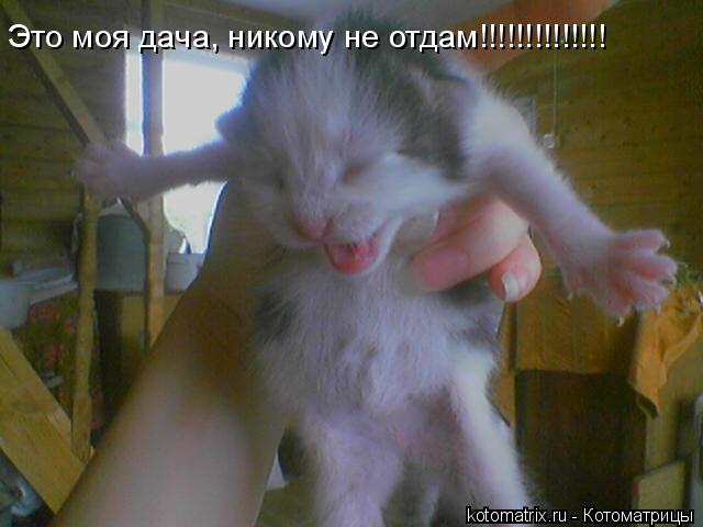 4743317_Ey (640x480, 34Kb)