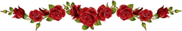4 (700x120, 99Kb)