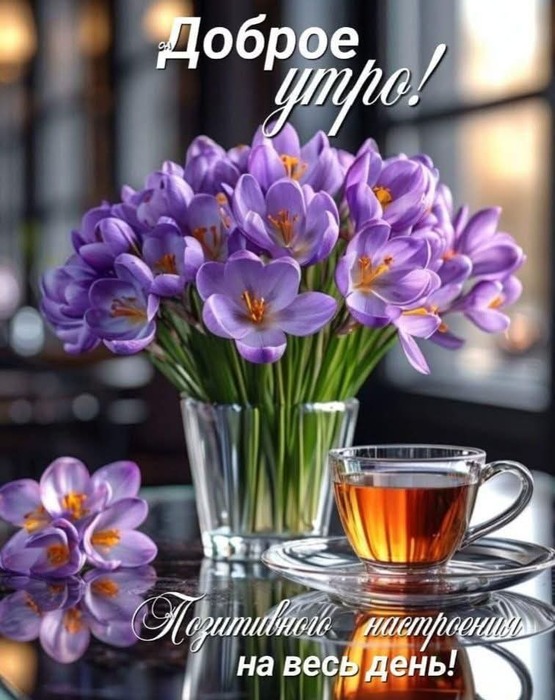 IMG-20250408-WA0006 (555x700, 109Kb)