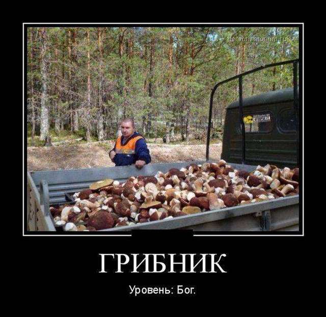 4743317_1442201466_12 (640x622, 54Kb)