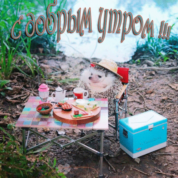 4743317_i36243 (600x600, 4031Kb)