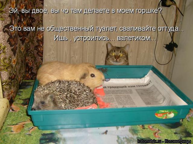 4743317_lJ (640x480, 57Kb)