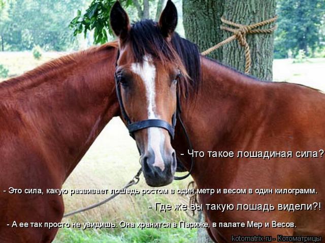 4743317_Pj (640x480, 59Kb)