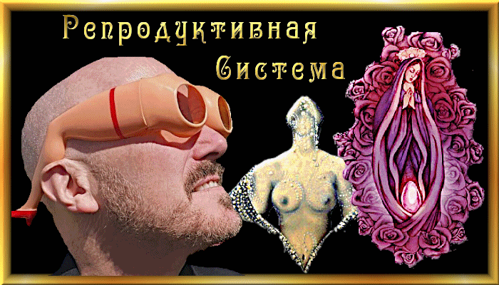 4315980_ivvc6v (700x400, 254Kb)