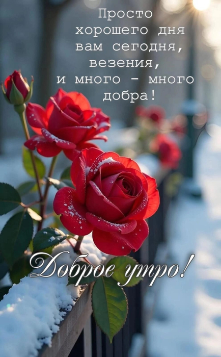 IMG-20250610-WA0004 (434x700, 283Kb)