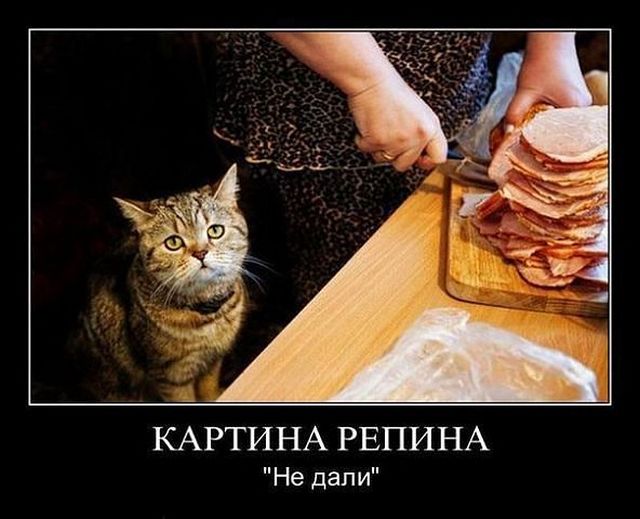 4743317_i6090 (640x519, 51Kb)