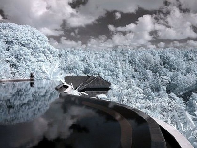 4743317_1143024097_infra202 (640x480, 67Kb)