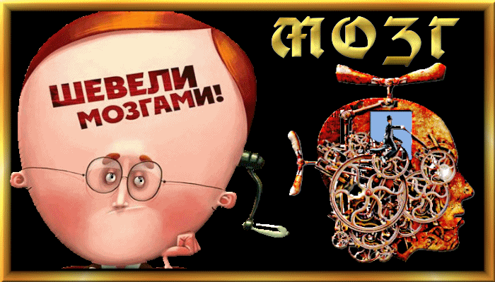 4315980_nhbbvtv (700x400, 202Kb)