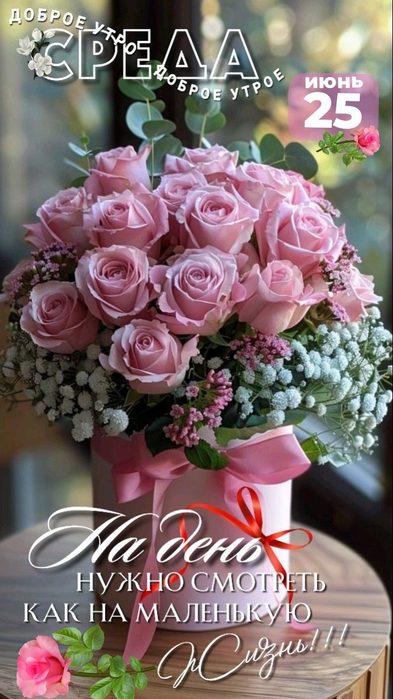 IMG_20250625_052108 (393x700, 70Kb)