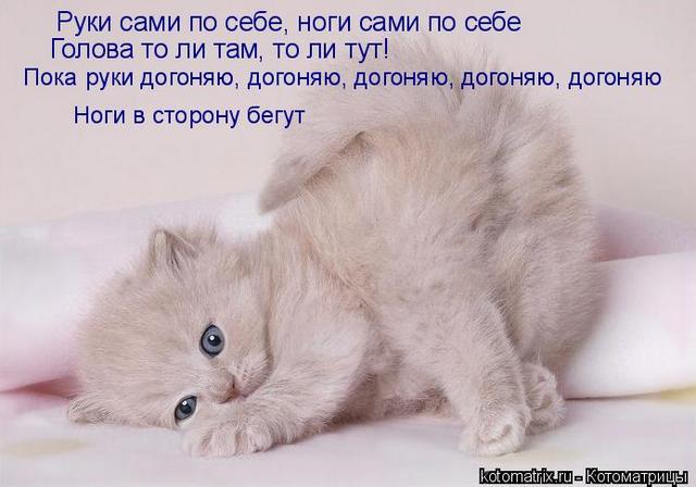 4743317_c (640x448, 39Kb)