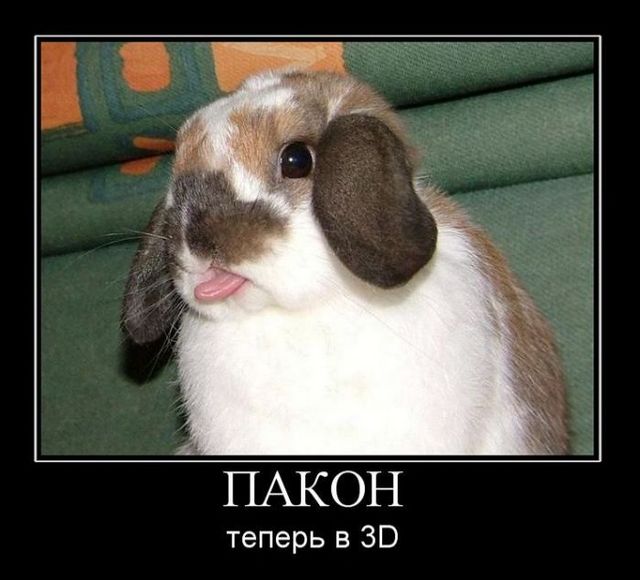 4743317_demotivatory_46 (640x580, 52Kb)